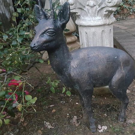 Gemsbok Cottage Bethlehem Luaran gambar